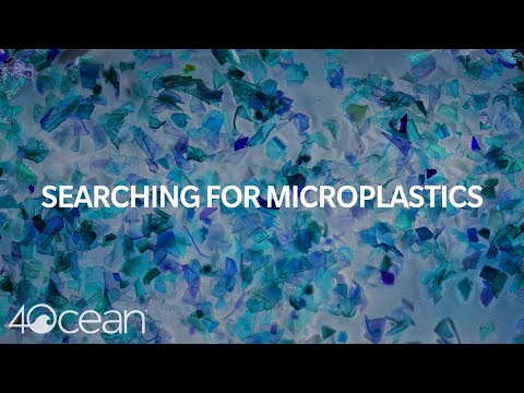 Searching for Microplastics